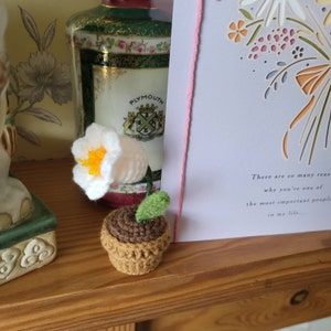 Madeleine added a photo of their purchase