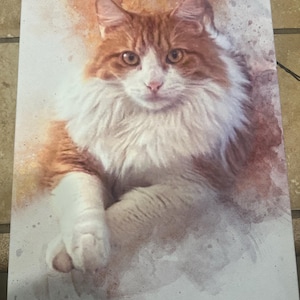 Samuel added a photo of their purchase