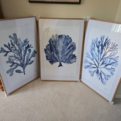 Navy Blue Coral Seaweed Wall Art Set of 3 Prints, Minimalist Watercolor ...