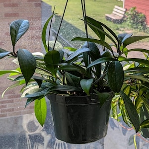 Gretchen added a photo of their purchase