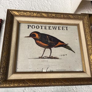 Christian added a photo of their purchase