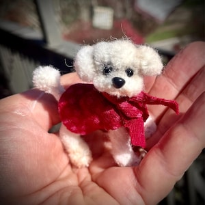 Miniduki added a photo of their purchase