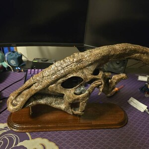 パラサウロロフス・ワルケリの頭蓋骨化石レプリカ：博物館級の品質、硬