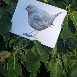 Kristian hat ein Foto des gekauften Artikels hinzugefügt