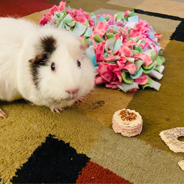 Curated visual reference: Gallery Detail: Carrot Cake Treat Banana Oat Treat For Rabbits Guinea Pigs
