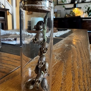 Allison added a photo of their purchase