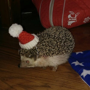 sarah added a photo of their purchase