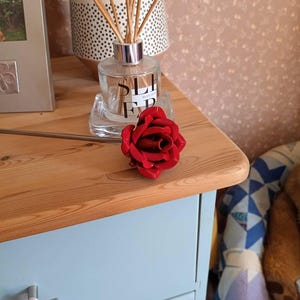 Hazel added a photo of their purchase