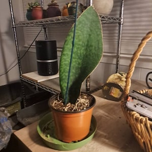 Candi added a photo of their purchase