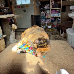 June added a photo of their purchase