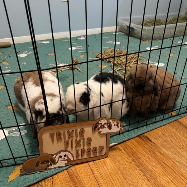 Mix & Match Bunny Stud Earrings one Pair, Rabbit Studs, Cute Enamel ...