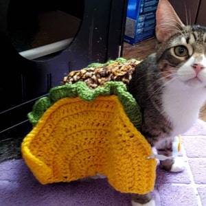 Taco cat cheap outfit