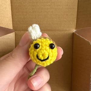 Kasse ha añadido una foto de su compra