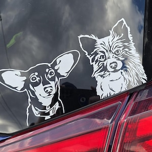 C added a photo of their purchase