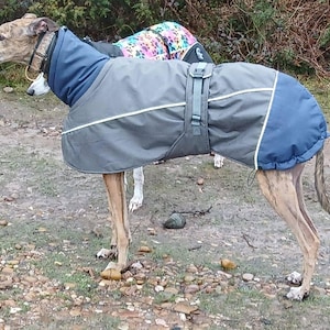 Tania added a photo of their purchase