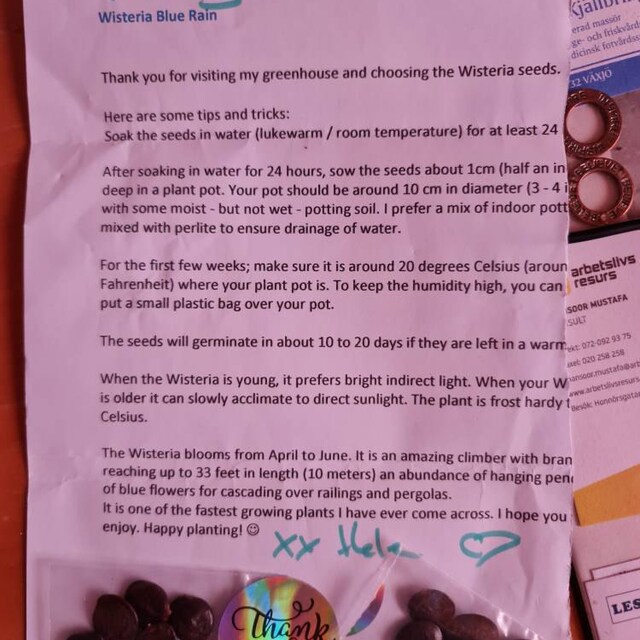 HelensGreenhouse Helen's Greenhouse Etsy