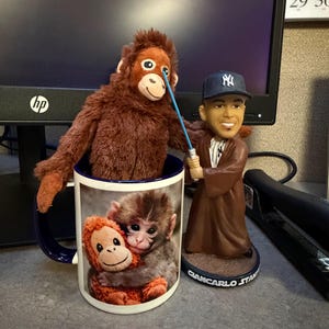 Anna added a photo of their purchase