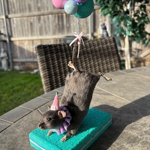 Tammy added a photo of their purchase