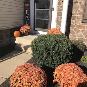 Summer added a photo of their purchase