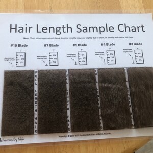 Clip Comb Sample Chart for Grooming | Etsy