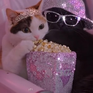 Amethyst ha añadido una foto de su compra