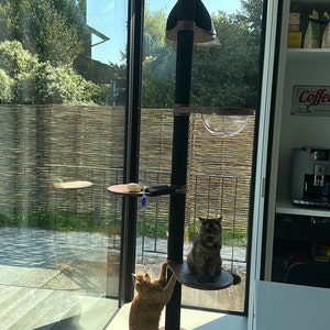 sofie added a photo of their purchase