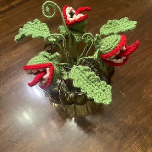 Holly added a photo of their purchase