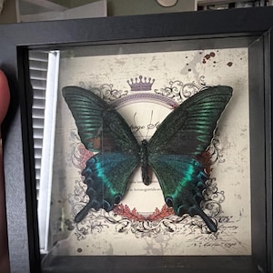 Grace added a photo of their purchase