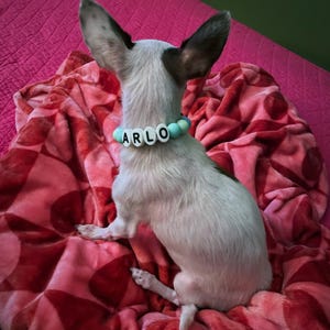 Kasha heeft een foto van zijn/haar aankoop toegevoegd