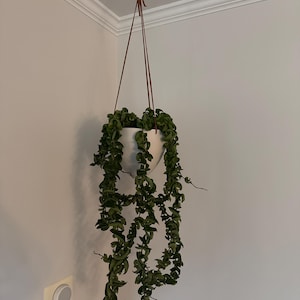 Elizabeth added a photo of their purchase