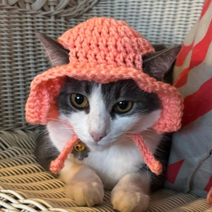 Geraldine added a photo of their purchase