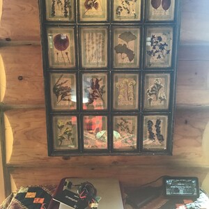 Judi Alexander added a photo of their purchase