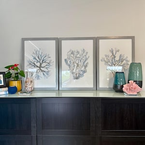 Shannon added a photo of their purchase