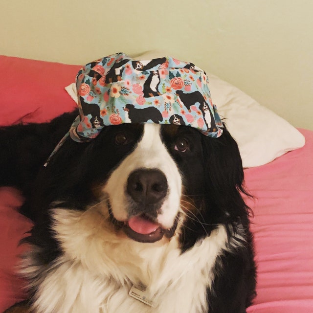 Bernese Mountain Dog Print Scrub Cap -  Portugal