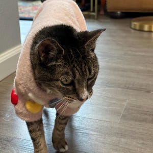Louise hat ein Foto des gekauften Artikels hinzugefügt