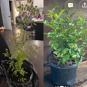 Erin added a photo of their purchase