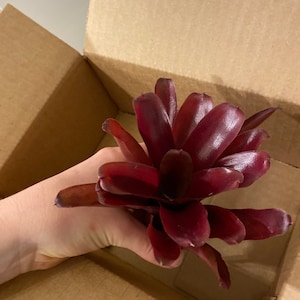 Colin added a photo of their purchase