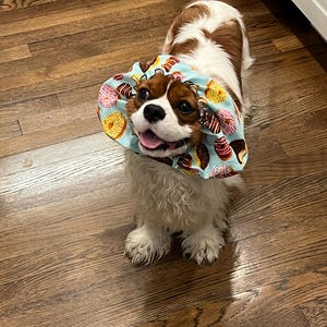 Sarah added a photo of their purchase