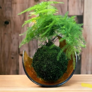 Jennifer ha aggiunto una foto del proprio acquisto