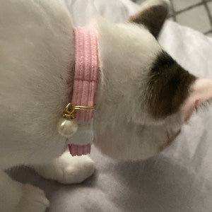 mills added a photo of their purchase
