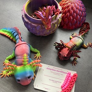 Hayley added a photo of their purchase