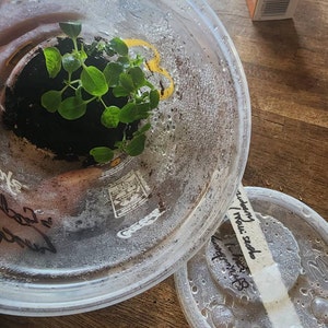 Etsy buyer added a photo of their purchase
