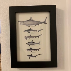 Jasmin added a photo of their purchase