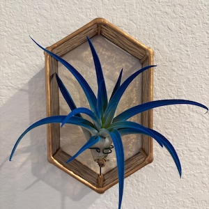 Laura added a photo of their purchase