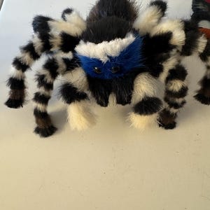 6インチ ハエトリグモ Maratus Personatus アートドール かわいいクモ