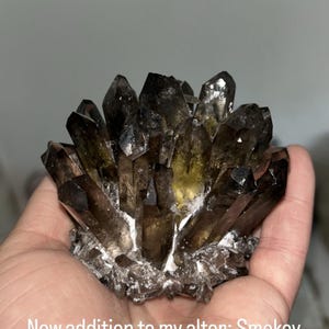 Kyle added a photo of their purchase