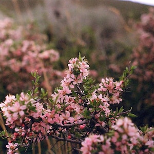 Kay ha añadido una foto de su compra