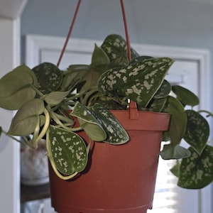Beth added a photo of their purchase