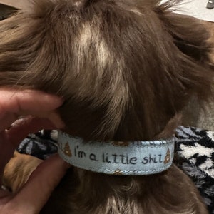 Amelia added a photo of their purchase