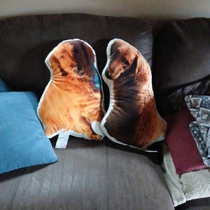 Rachel added a photo of their purchase